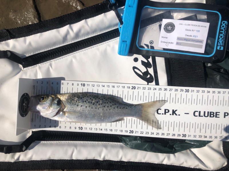 Fish Measure Picture