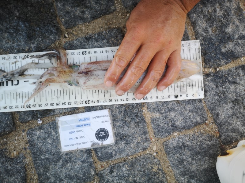 Fish Measure Picture