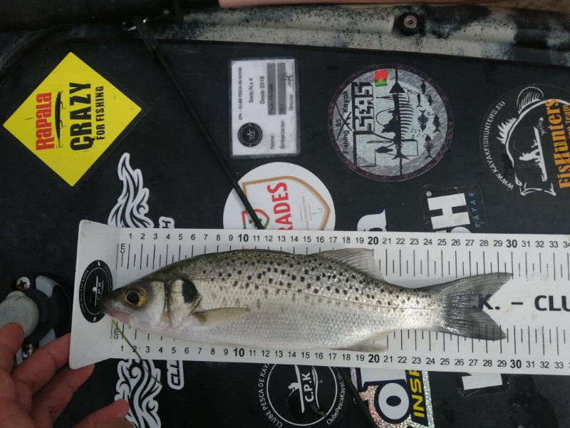 Fish Measure Picture