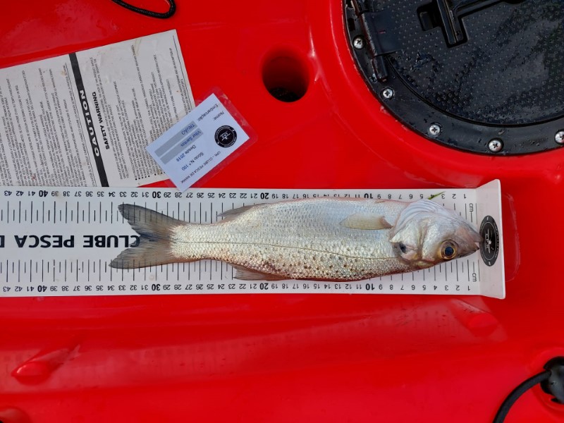Fish Measure Picture