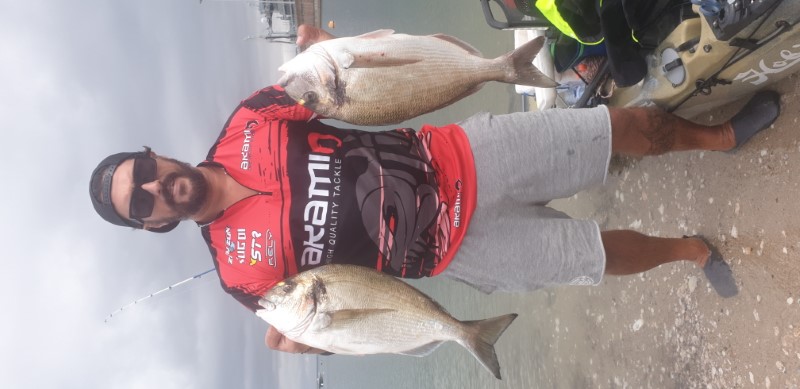 Fish Profile Picture