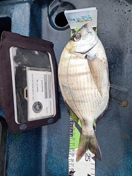 Fish Measure Picture