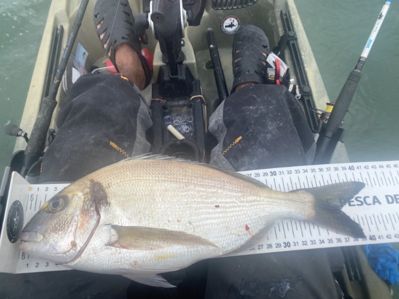 Fish Measure Picture