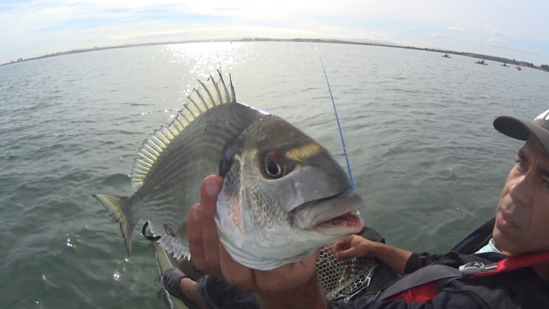 Fish Profile Picture