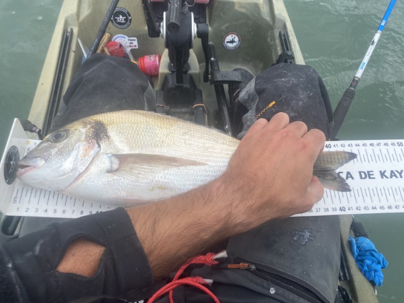 Fish Measure Picture
