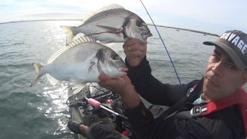 Fish Profile Picture