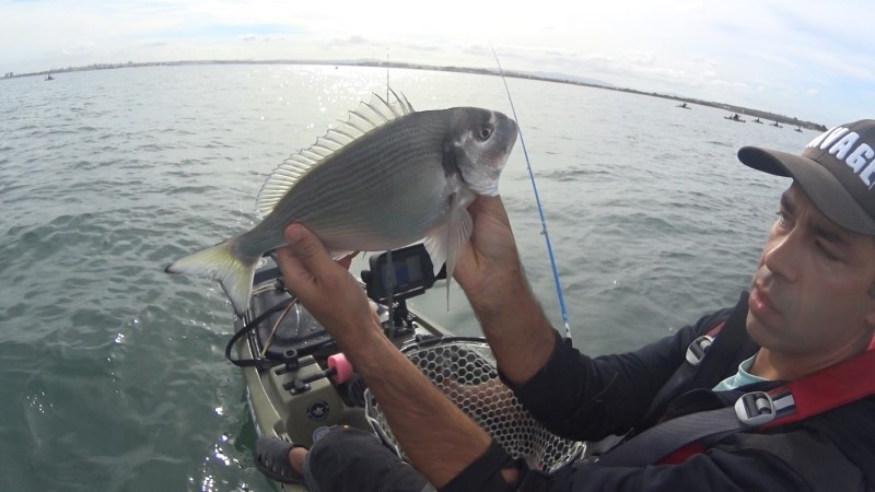 Fish Profile Picture