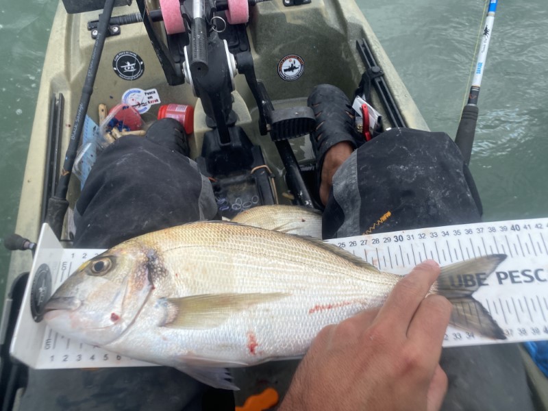 Fish Measure Picture