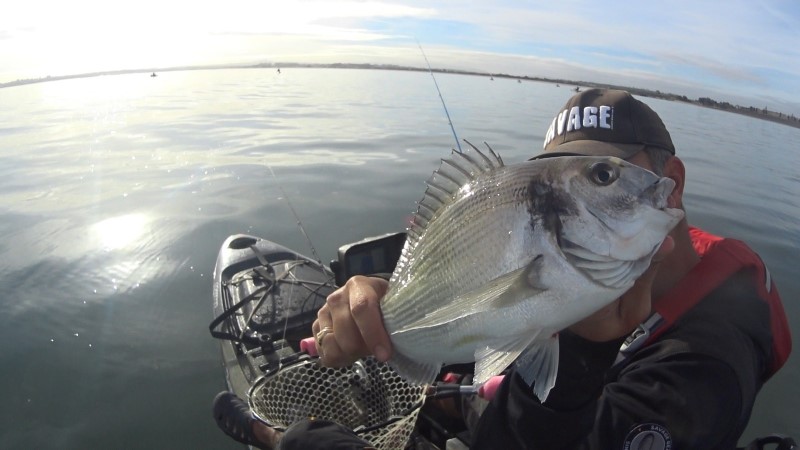Fish Profile Picture