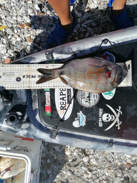 Fish Measure Picture