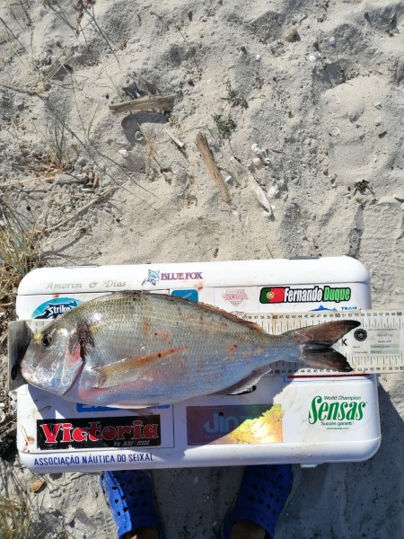 Fish Measure Picture