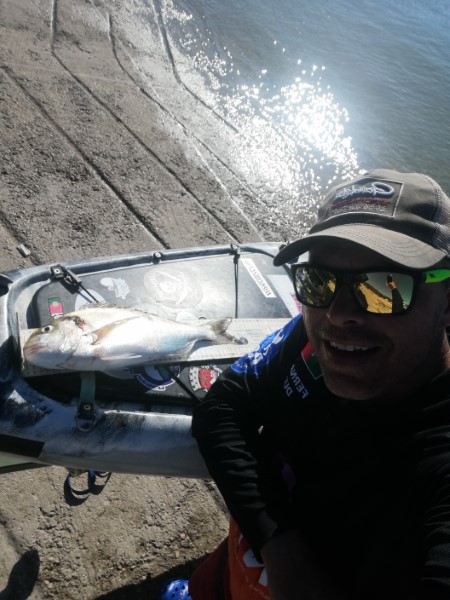 Fish Profile Picture