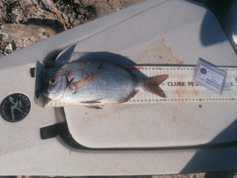 Fish Measure Picture
