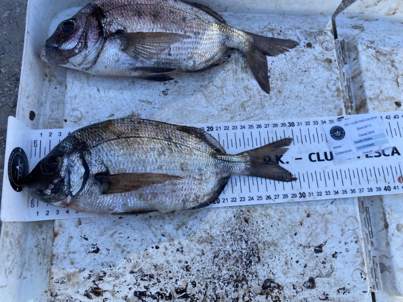 Fish Measure Picture