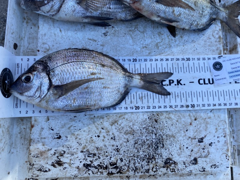 Fish Measure Picture