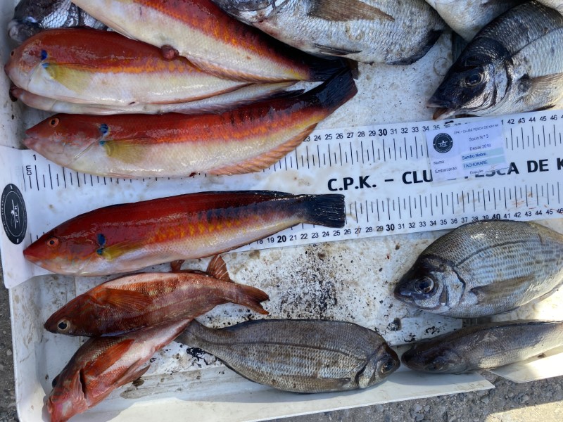 Fish Measure Picture
