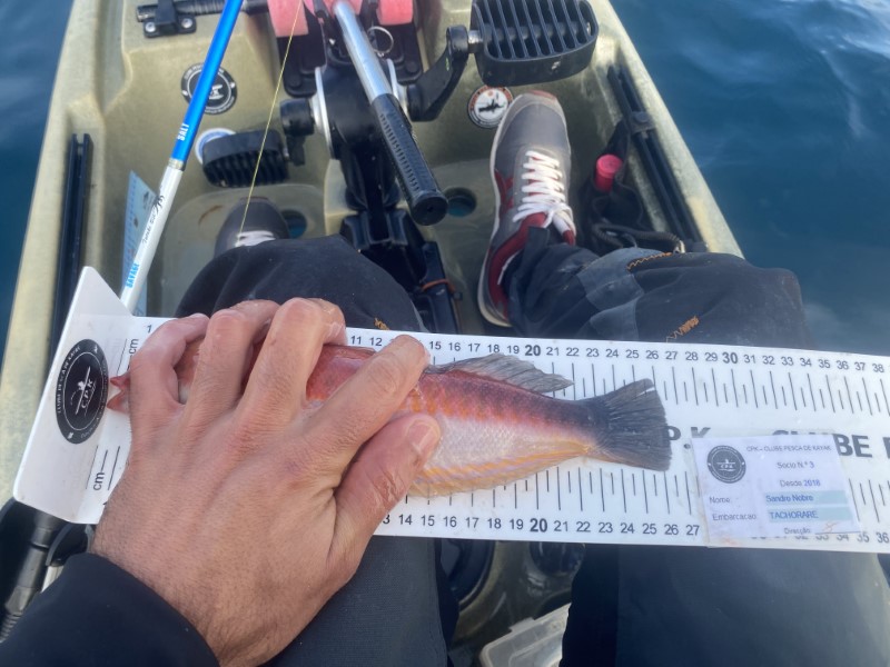 Fish Measure Picture
