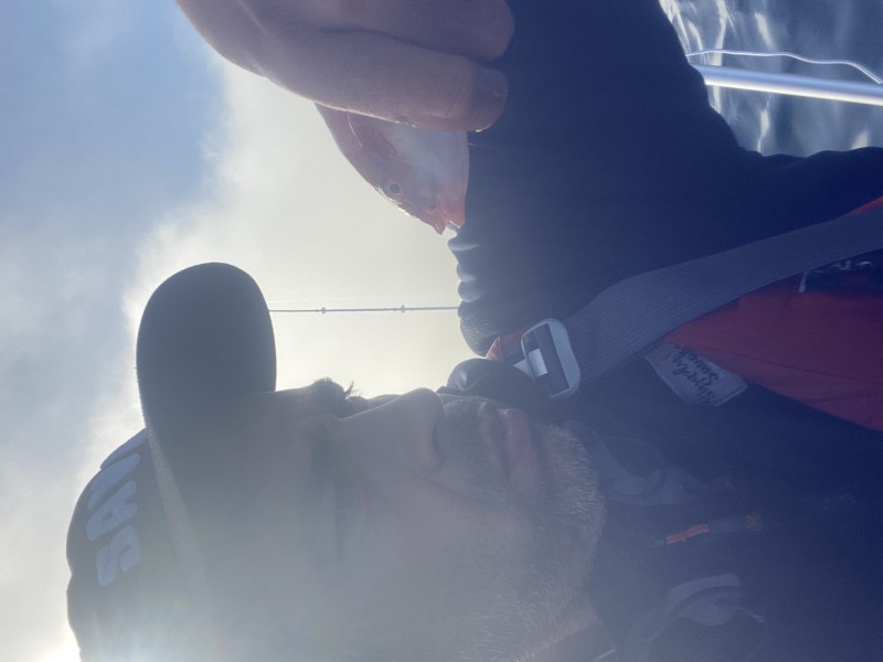 Fish Profile Picture
