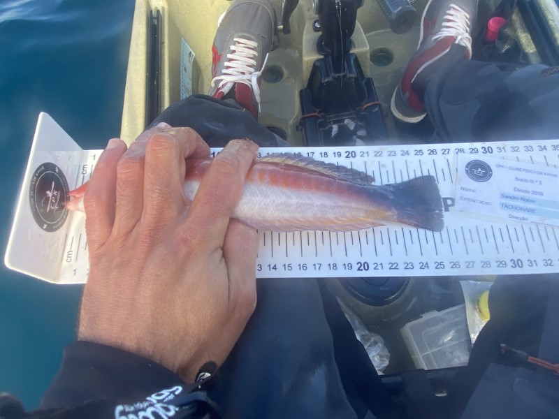 Fish Measure Picture
