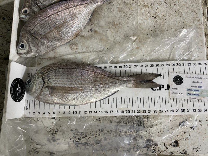 Fish Measure Picture