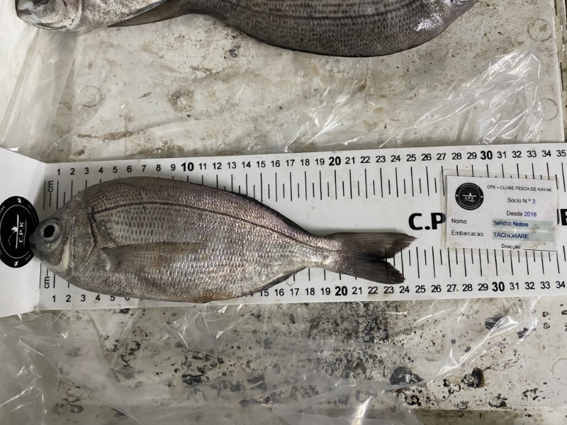 Fish Measure Picture