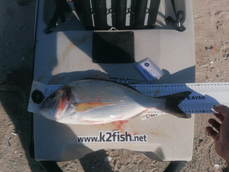 Fish Measure Picture