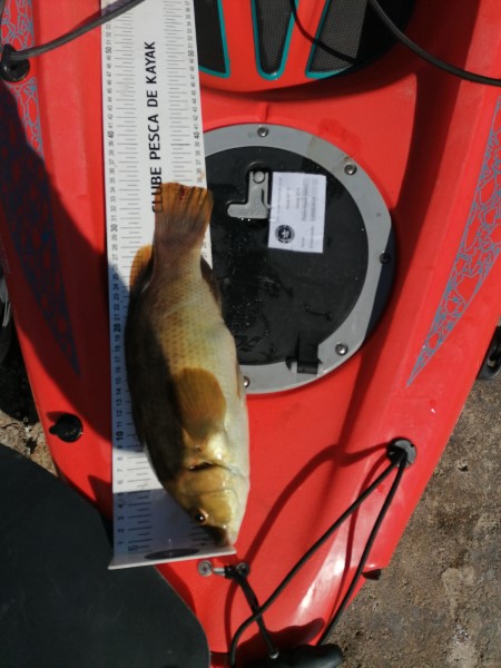 Fish Measure Picture