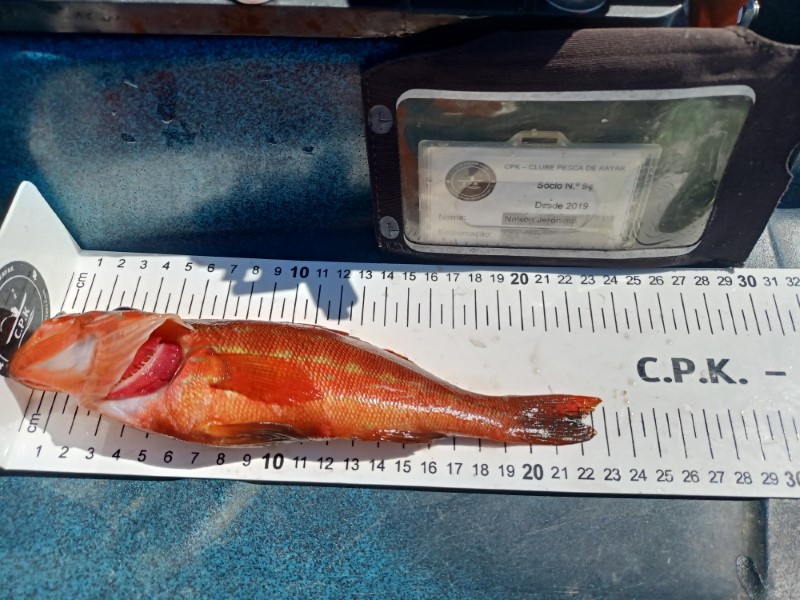 Fish Measure Picture
