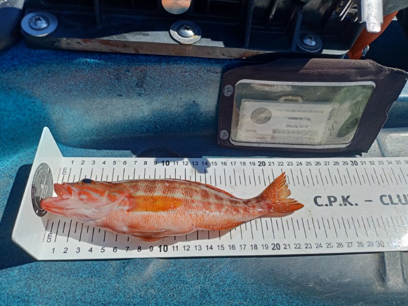 Fish Measure Picture