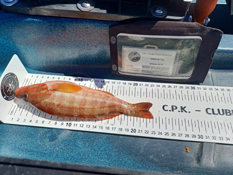 Fish Measure Picture
