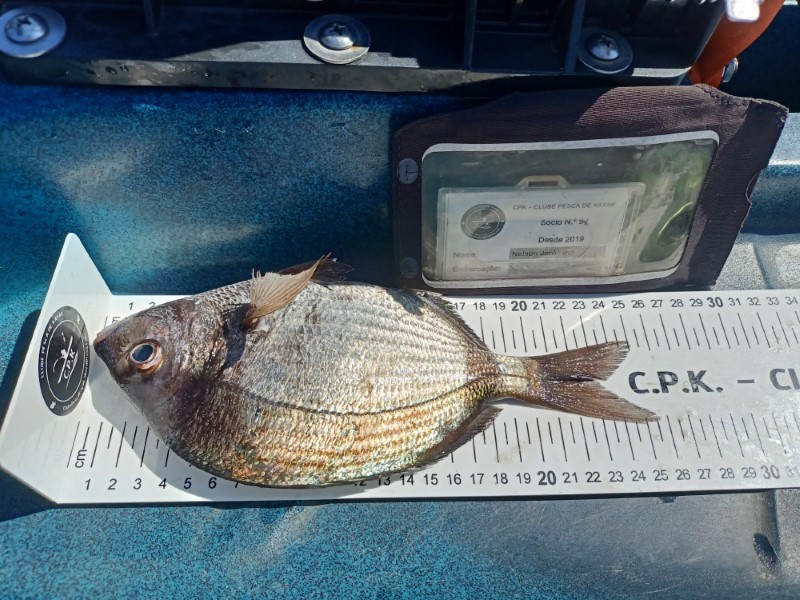 Fish Measure Picture