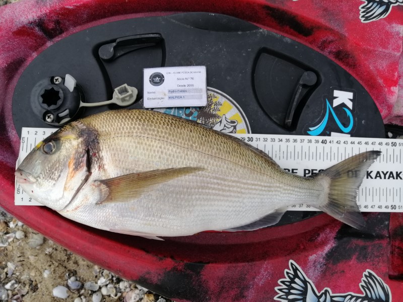 Fish Measure Picture