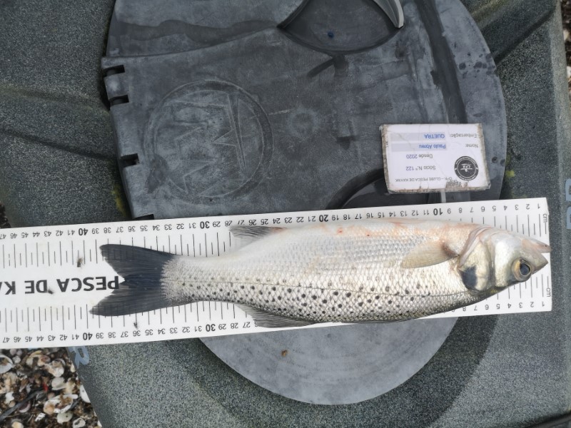 Fish Measure Picture