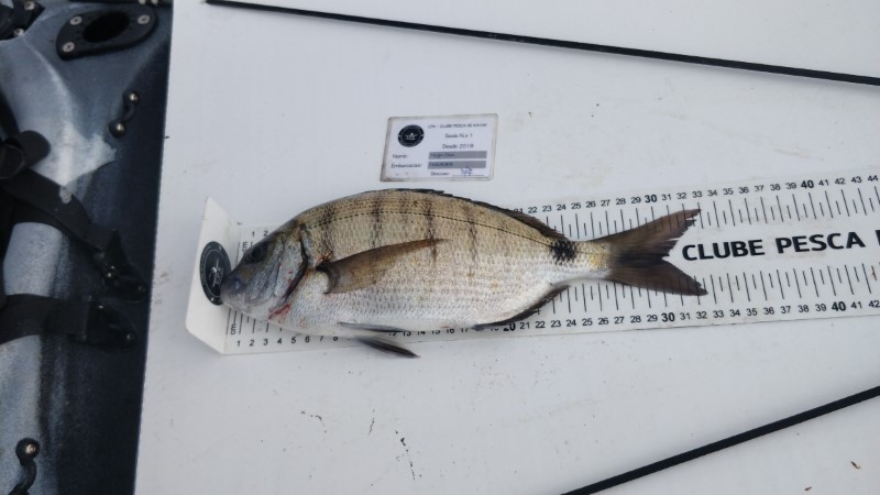 Fish Measure Picture