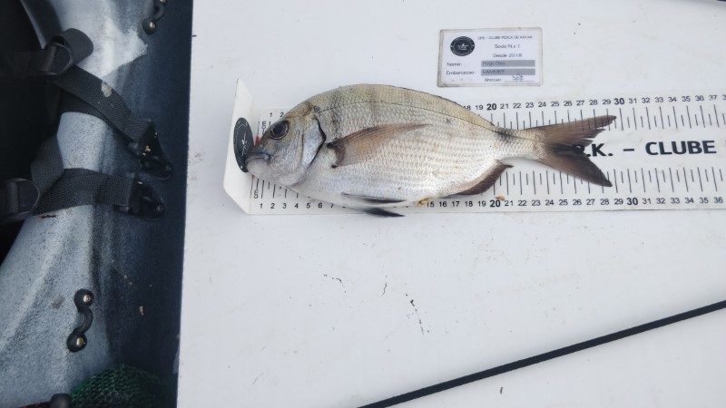 Fish Measure Picture