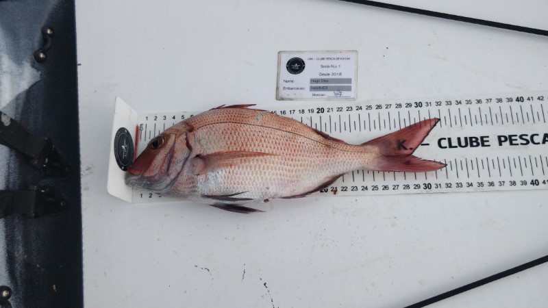 Fish Measure Picture