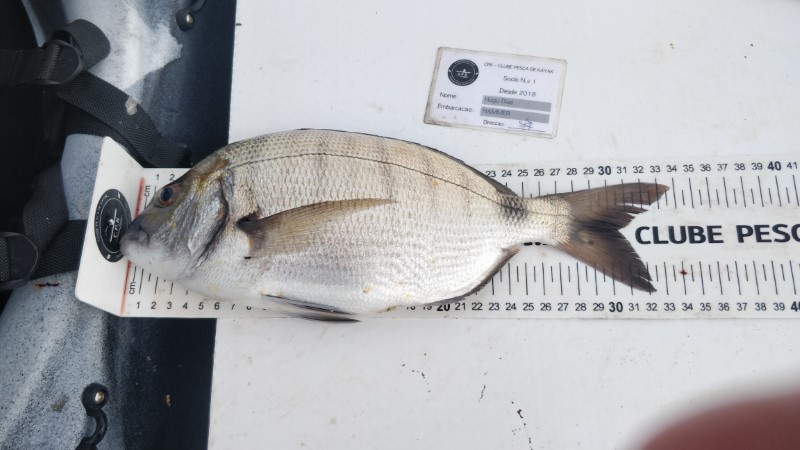 Fish Measure Picture