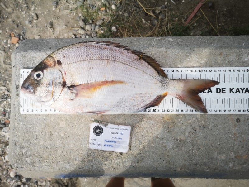Fish Measure Picture