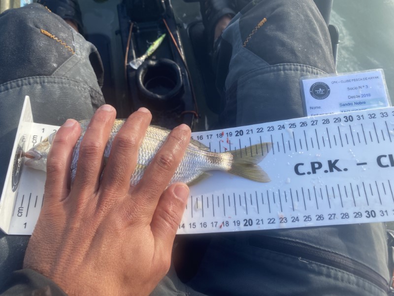 Fish Measure Picture
