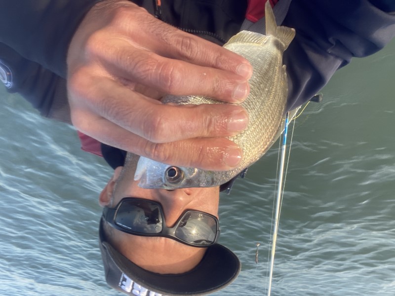 Fish Profile Picture