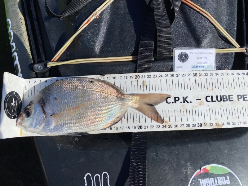 Fish Measure Picture