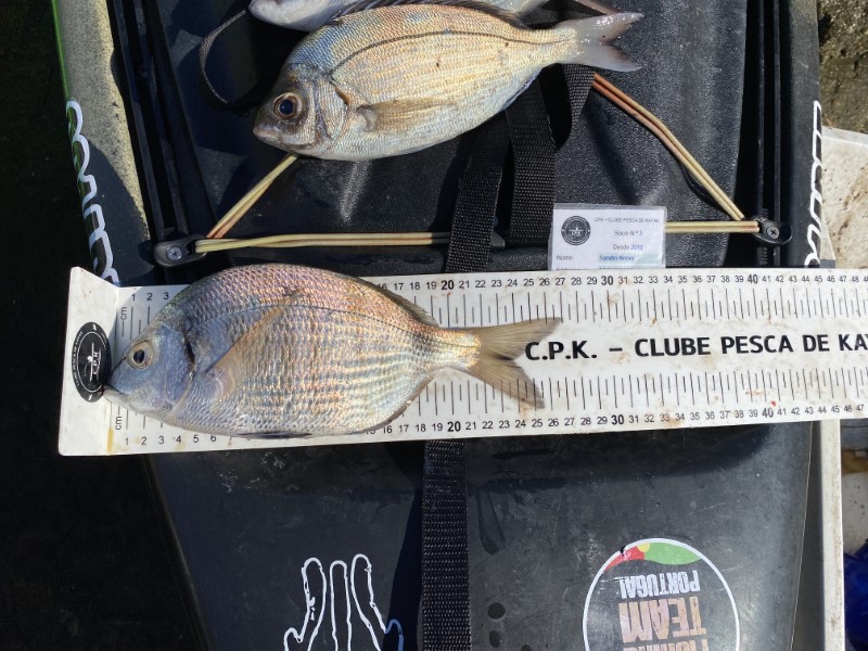 Fish Measure Picture