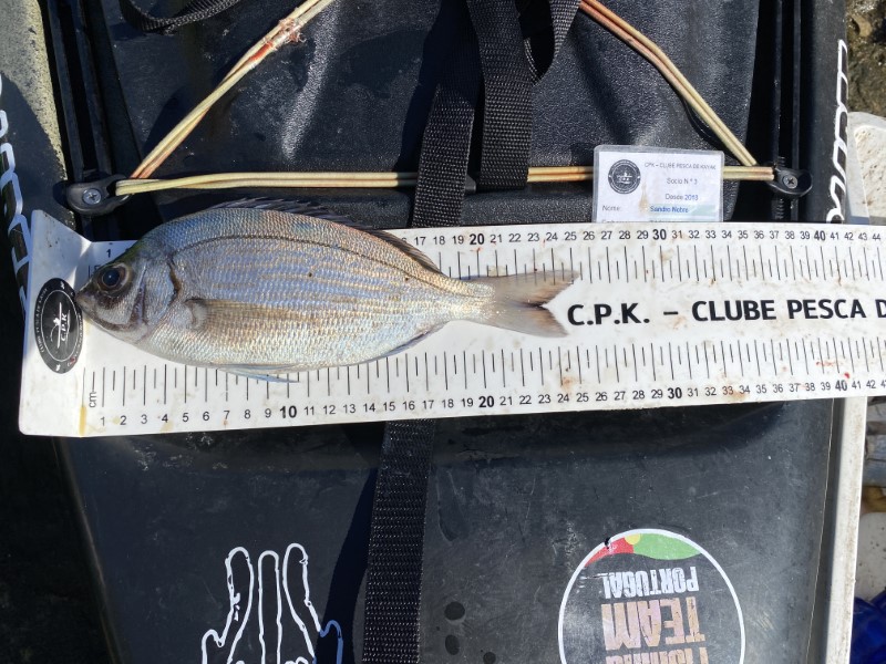 Fish Measure Picture