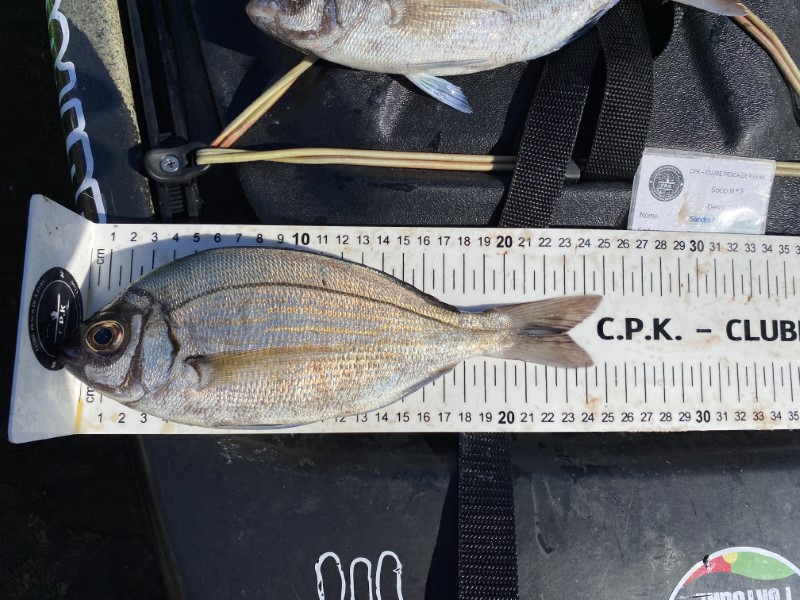 Fish Measure Picture