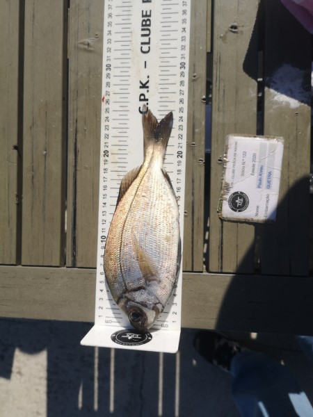 Fish Measure Picture