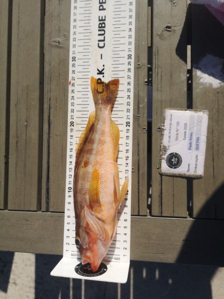 Fish Measure Picture