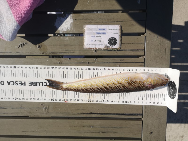 Fish Measure Picture