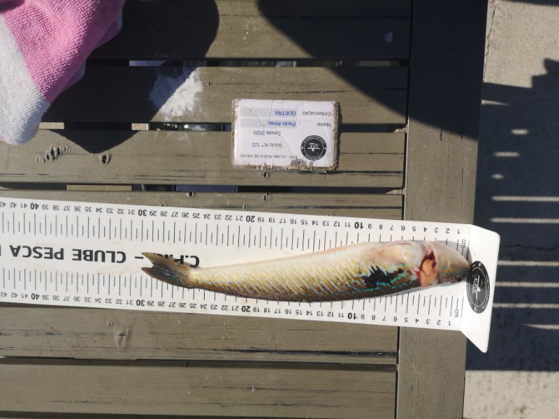 Fish Measure Picture