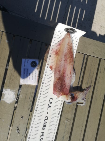 Fish Measure Picture