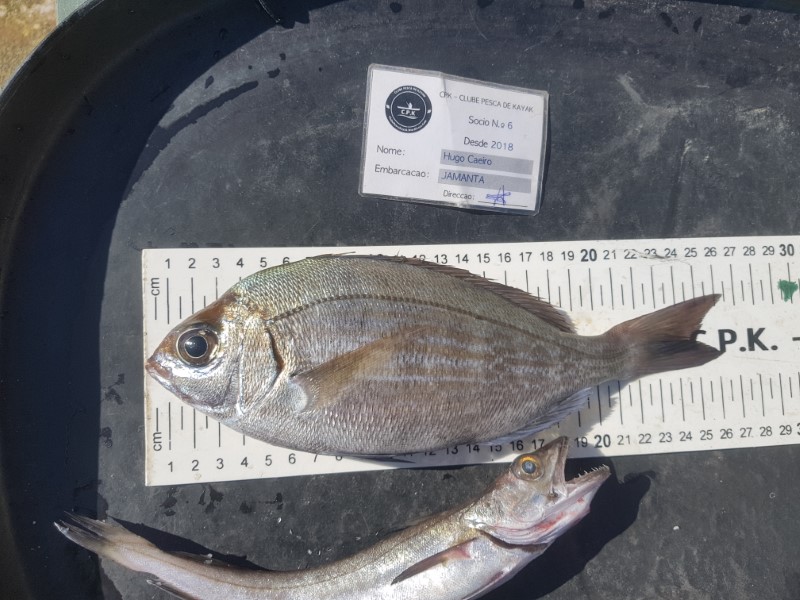 Fish Measure Picture